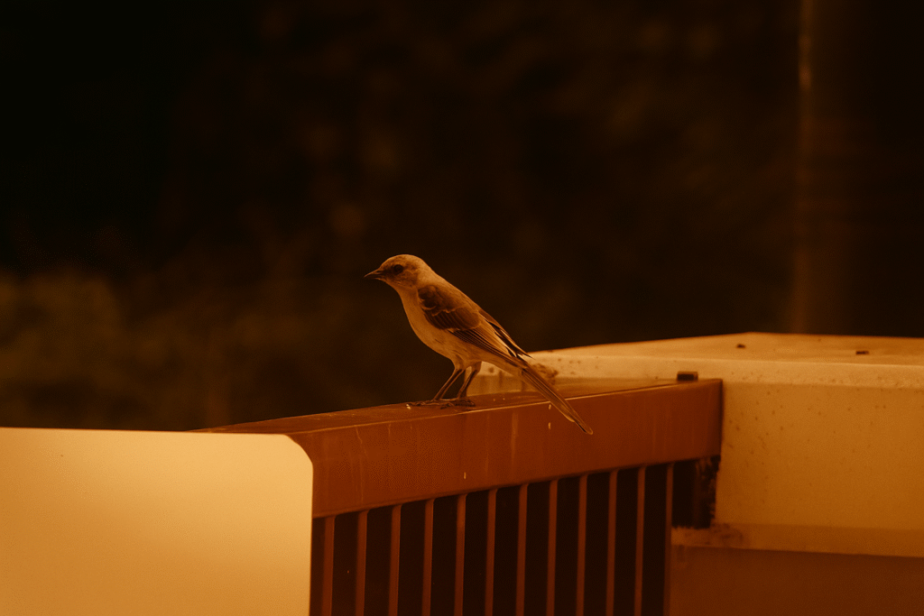 4dea0a8e fd8b 4b33 89f4 5496bbcbdfdf