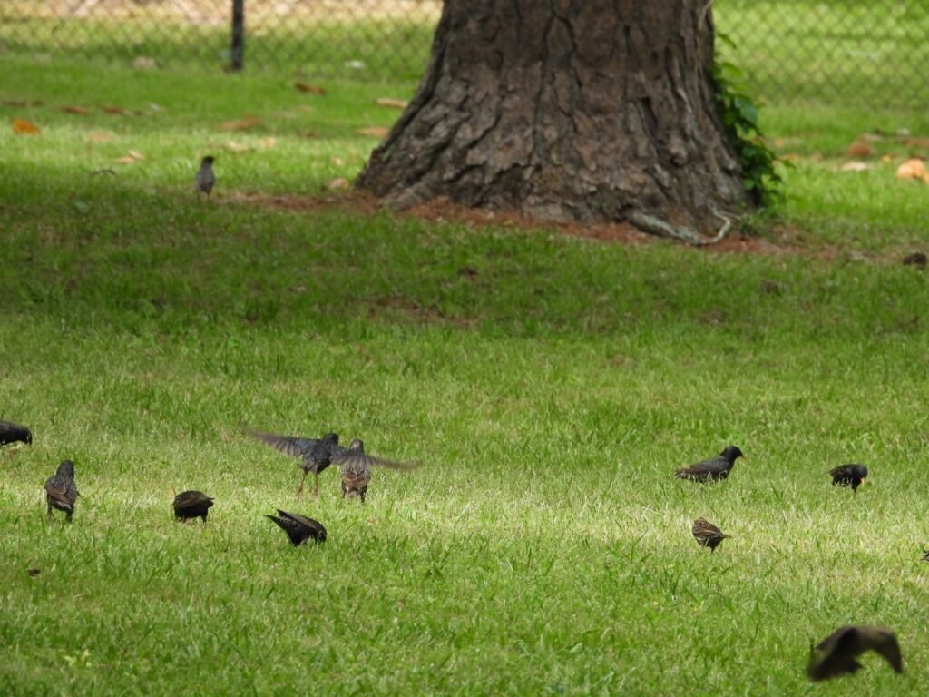 {"data":{"product":"tiktok"}}