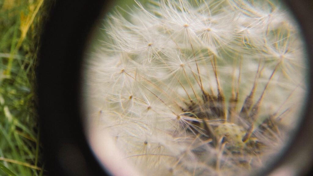 {"data":{"product":"tiktok"}}