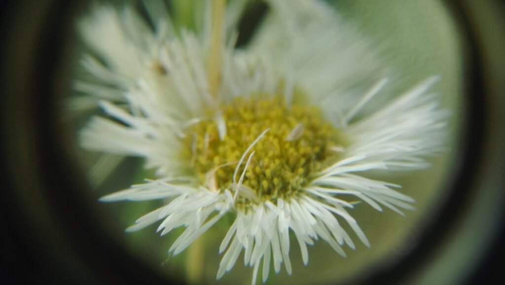 {"data":{"product":"tiktok"}}