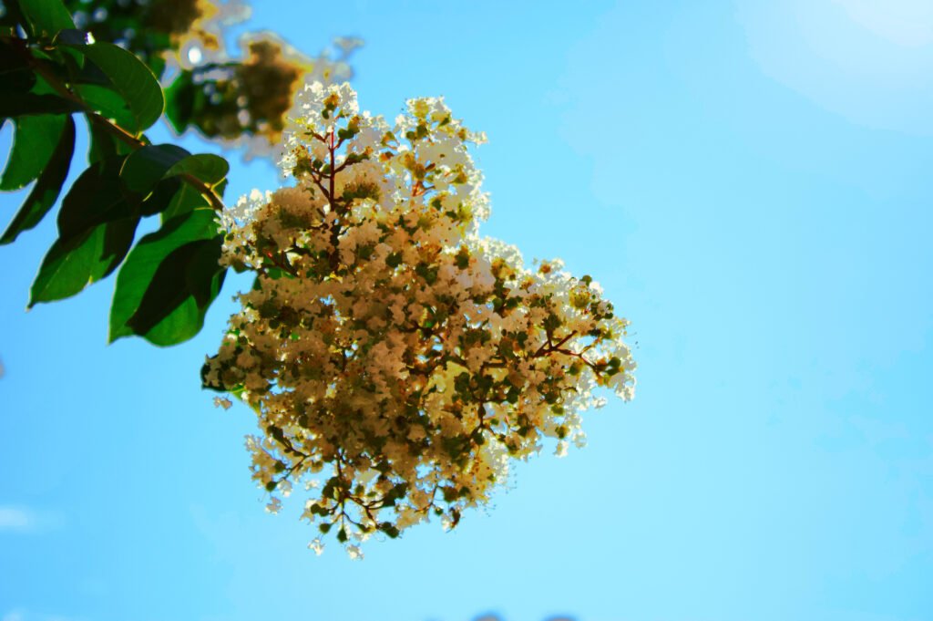 986efe78 f128 4b6d a404 6b6ace55a8ca