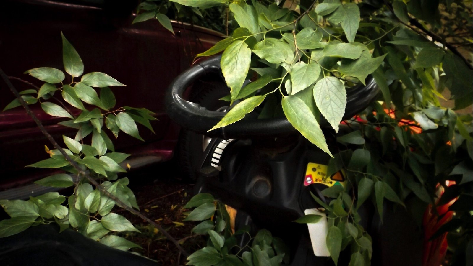 {"data":{"product":"tiktok"}}