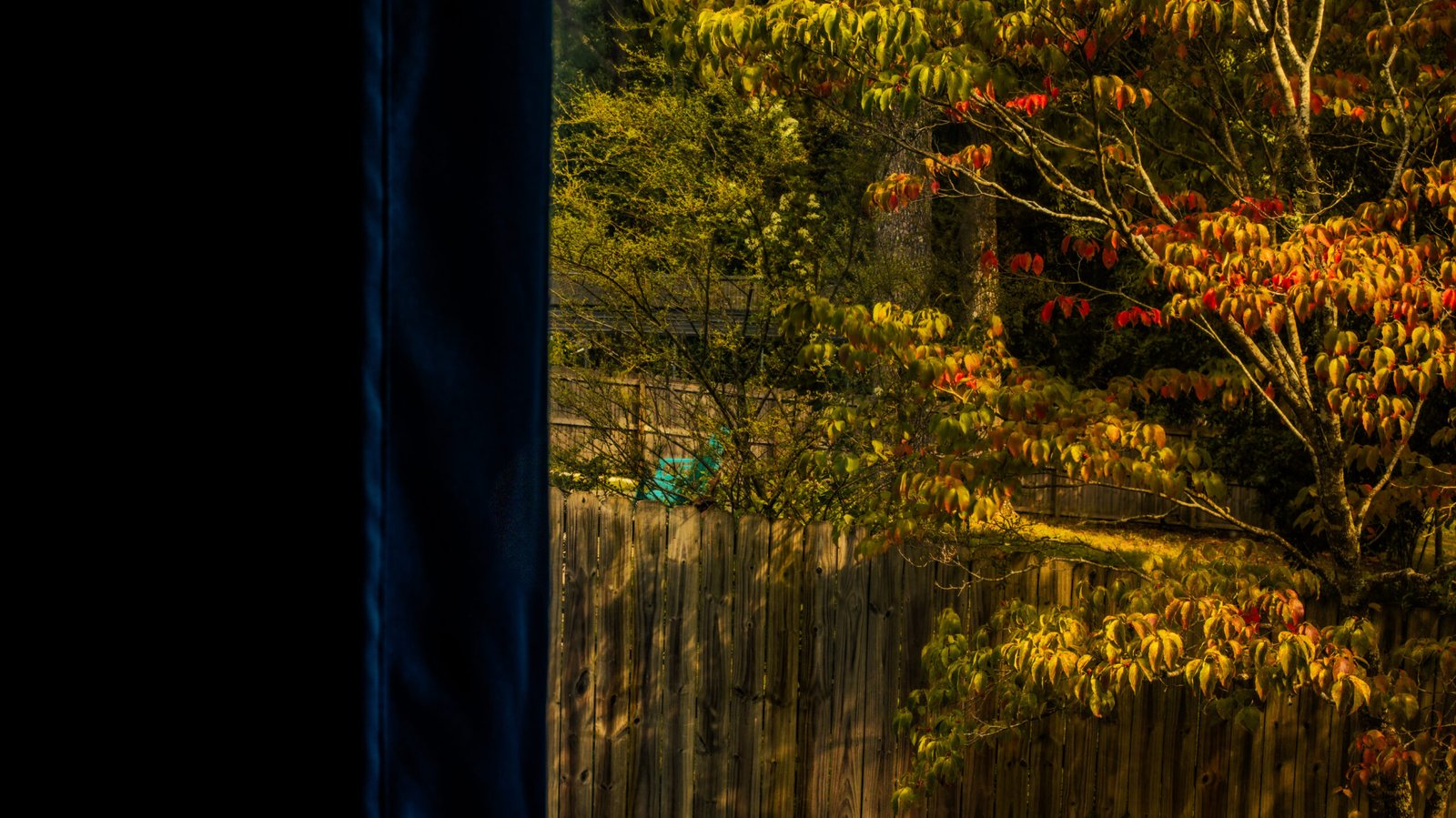 photo sep 01 2025, 9 47 46 am hdr