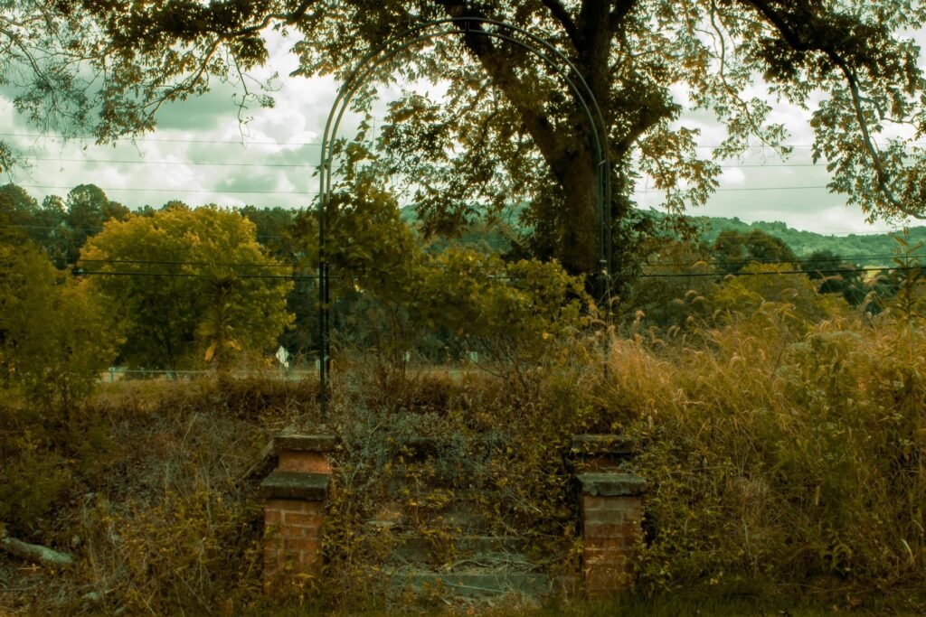 photo sep 04 2025 11 42 02 am hdr.jpg